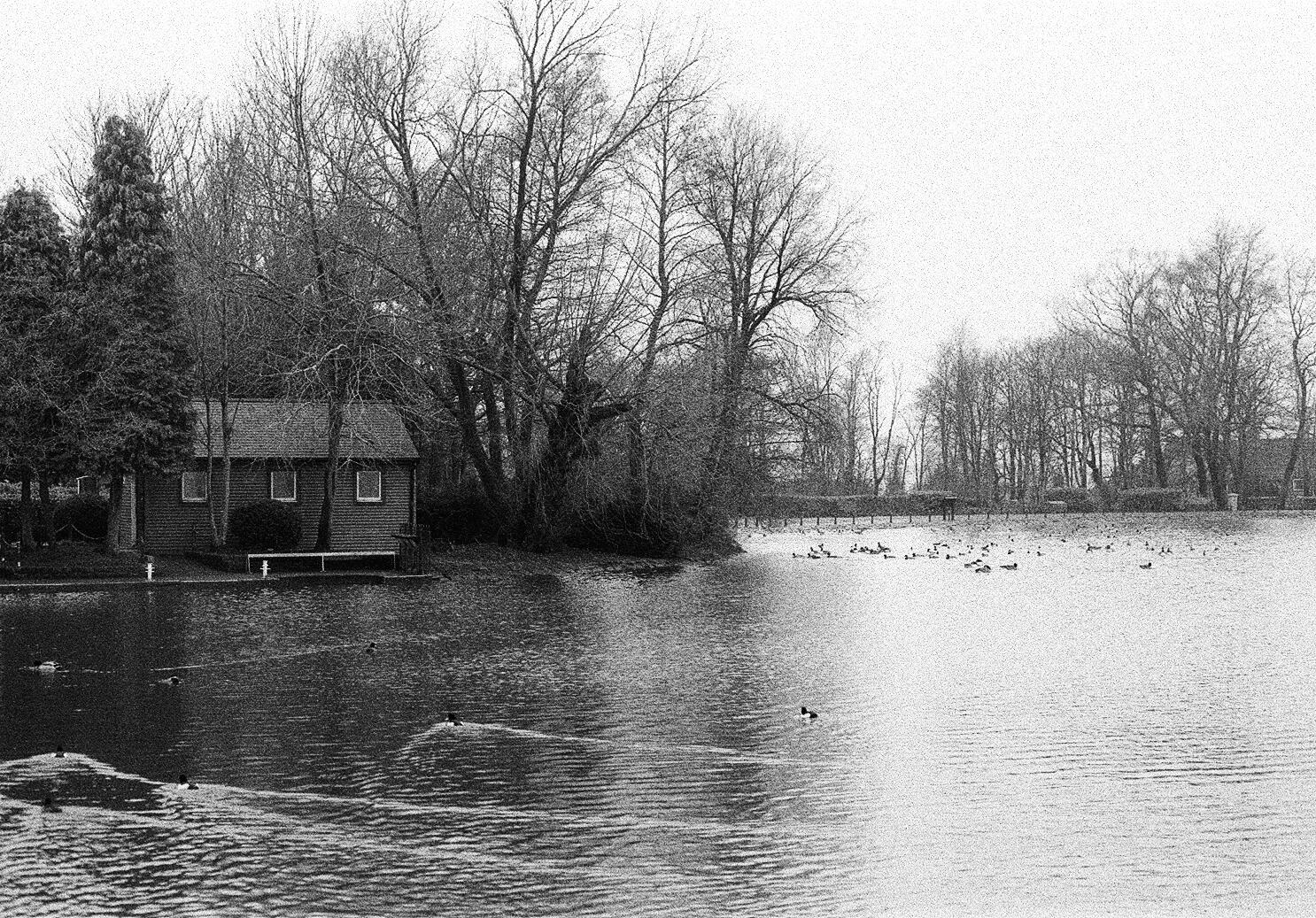 Pond - Kentmere 400, f4.8 1/60